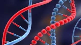 Les mutations d'un gène dans plusieurs formes rares de cancers