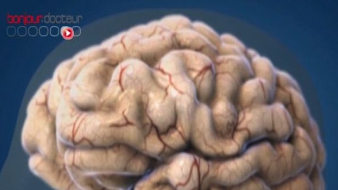 Aidez la recherche sur le cerveau : testez votre mémoire  !