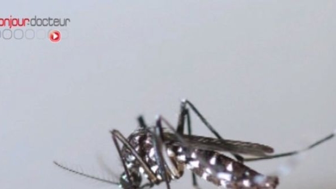 La dengue risque de sévir à Rio