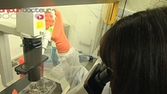Cancer colorectal : un test de dépistage plus performant pour 2013