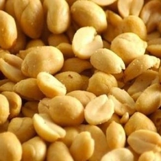 [MISE À JOUR] Patch contre l'allergie à l'arachide : quel taux de réponse au traitement ?