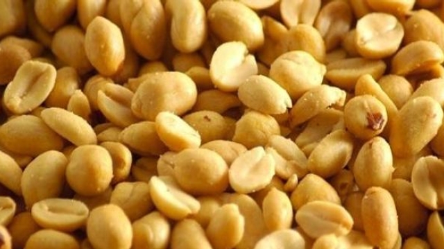 Allergies : l'exposition précoce aux cacahuètes protège, même si elle est transitoire