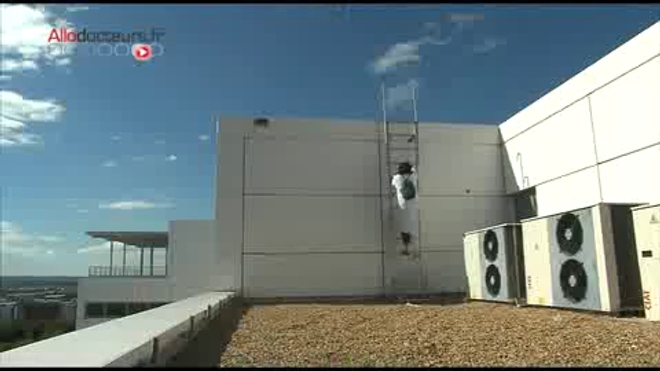 Ambroisie : un pollen très allergisant - Reportage vidéo du 19 septembre 2012