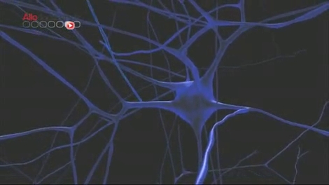 Human Brain Project : un modèle pour mieux comprendre le cerveau