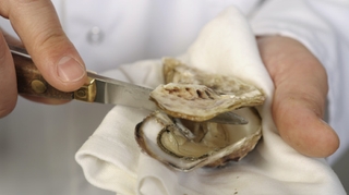 Ouvrir des huîtres : les bons gestes