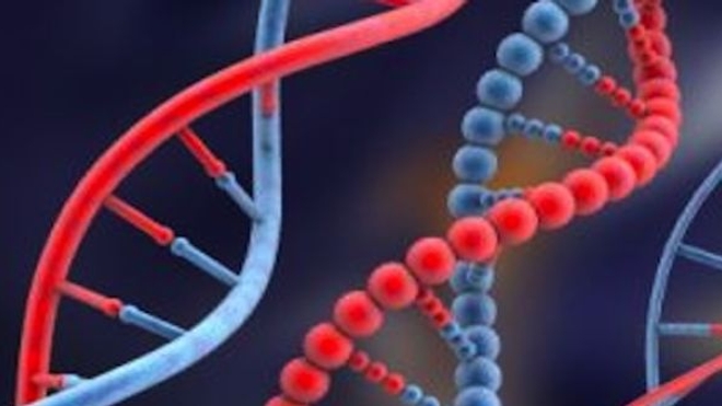 Mélanomes : des mutations caractéristiques dans l'ADN non codant