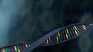 Comment identifier une personne grâce à l'ADN ?
