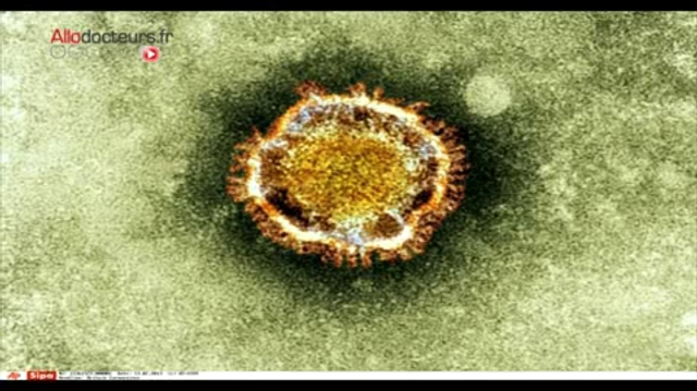 SRAS : un nouveau coronavirus bientôt en France?