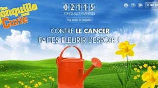 Plantez votre jonquille contre le cancer !