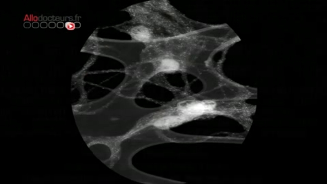 ''Petit mais costaud'', telle pourrait être la devise des nanomatériaux