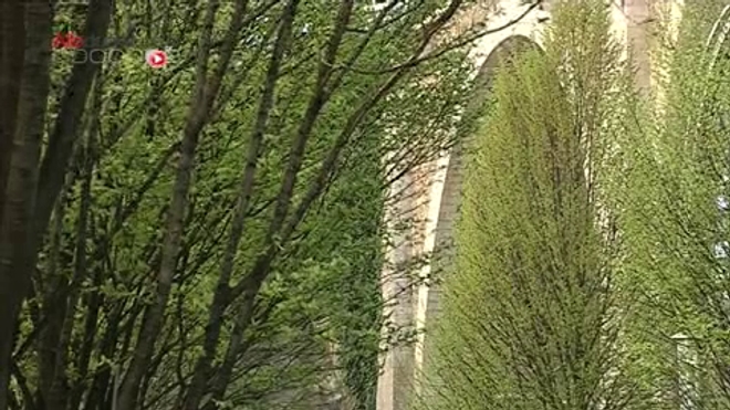 ''Le retour des allergies saisonnières'', un reportage de Géraldine Zamansky, Eloïse Malet et Hervé Droguet