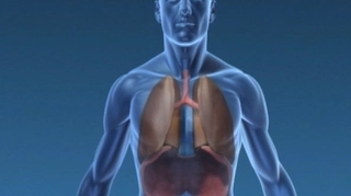 Cancer du poumon : un test sanguin pour détecter des anomalies génétiques