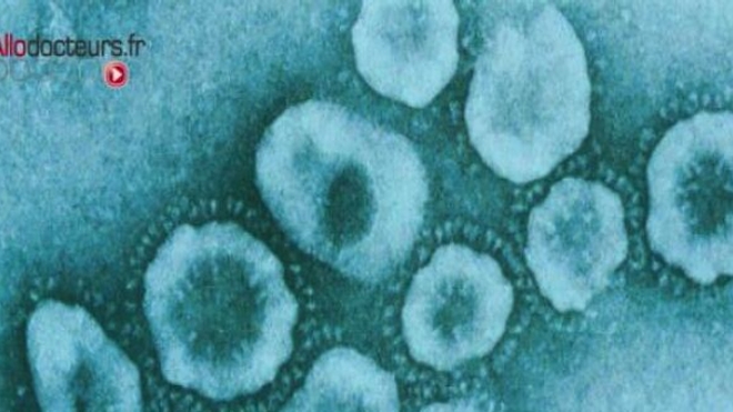 Des chercheurs brevettent le coronavirus