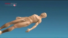 Les cycles du sommeil, de quoi s'agit-il ?