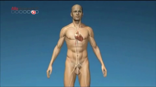 Le coeur artificiel Carmat : explications en vidéo du 10 juin 2013