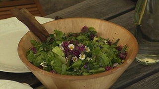 Des plantes sauvages au menu