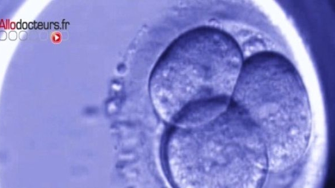 La congélation du sperme en vue d'une FIV est encore possible pendant 24 heures après le décès de l'homme.