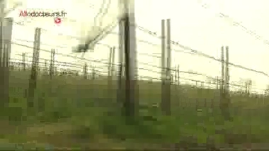 Pesticides : médecins et riverains du Limousin se mobilisent