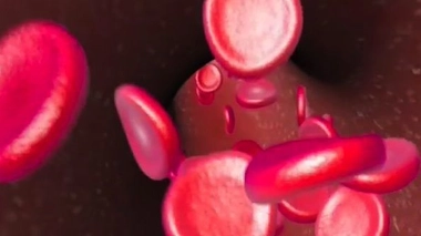 Drépanocytose : l'espoir de la thérapie génique