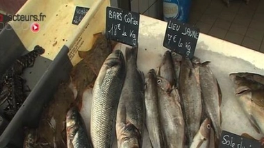 Cet été, des poissons à consommer avec modération