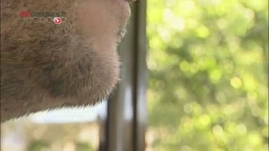 Reportage Stéphanie Rathscheck et Dominique Tchimbakala