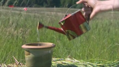 Huitième ordonnance littéraire pour cet été !