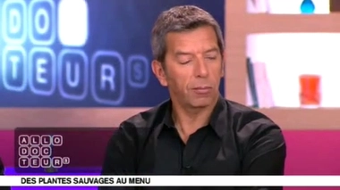 Quelles sont les fleurs de printemps bonnes à manger ?