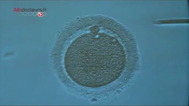 Reportage Stéphanie Rathscheck et Dominique Tchimbakala