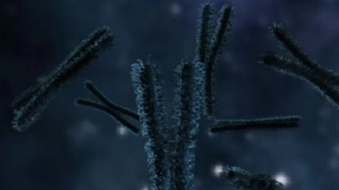 Trisomie 21 : le chromosome en trop neutralisé