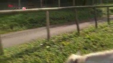 Reportage de Morgane Belloir, François Rochelle et Julie Legros.