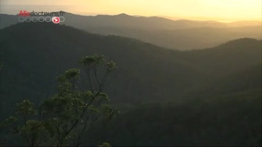 Recherche : guérir grâce au venin ?