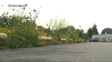 ''Du sport sur ordonnance'', reportage du 3 septembre 2013.