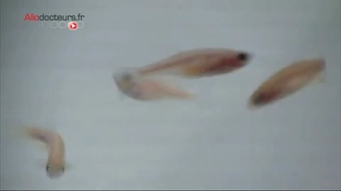 Reportage d'Eloïse Malet, Christian Galet et Lionel Simon