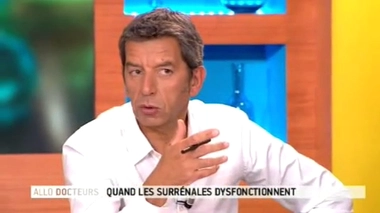 Insuffisance surrénalienne : la greffe, un traitement envisageable ?