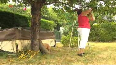 Un test pour dépister les cancers héréditaires