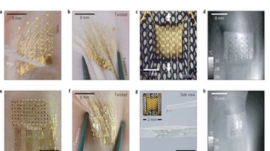 Le thermomètre dans la peau