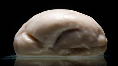 Photo © Adam Voorhes