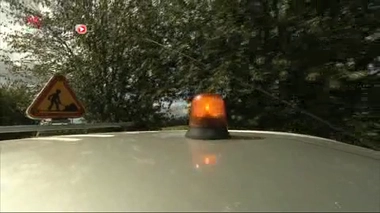 Allergies : la région Rhône-Alpes déclare la guerre à l'ambroisie