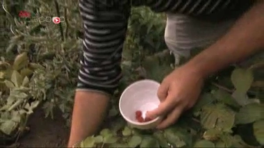Déserts médicaux : opération séduction auprès des jeunes médecins