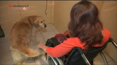 Reportage de Marie Chagneau, Mathieu Wibault et Lydia Chaubon.
