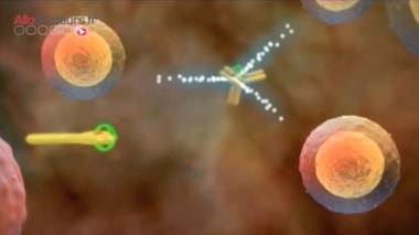 Immunothérapies contre le cancer : le rôle décisif des bactéries intestinales