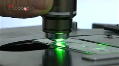 Une bactérie mutante sévit dans la région de Marseille	