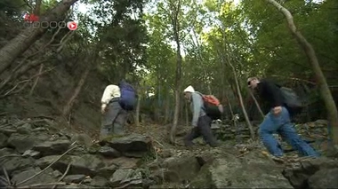 Reportage de Cécile Guéry-Riquier, Timothée Dereix et Lionel Simon