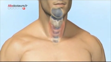 Reportage du 22 octobre 2013