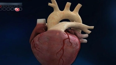 Reconnaître l'arrêt cardiaque pour sauver des vies