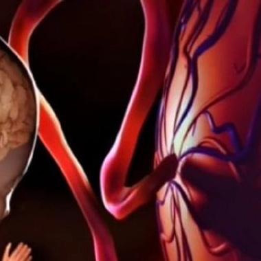 "Il ne faudrait pas boire quand on est enceinte. C'est très mauvais pour les fœtus."