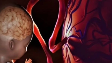 "Il ne faudrait pas boire quand on est enceinte. C'est très mauvais pour les fœtus."