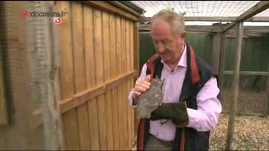 Une chouette rencontre en maison de retraite