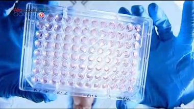 Thérapies cellulaires : le premier laboratoire européen