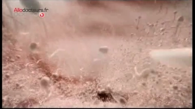 Reportage réalisé en 2013, à l'occasion des 40 ans des CECOS.